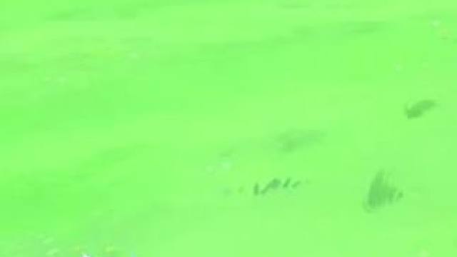 我发布了一个新视频，快来围观吧！