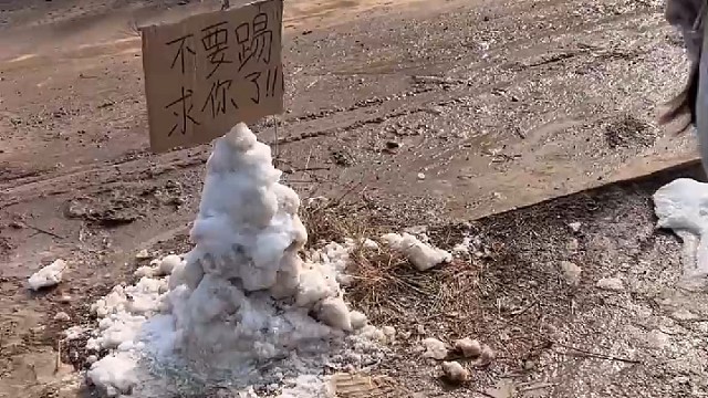 任性害了你[允悲]