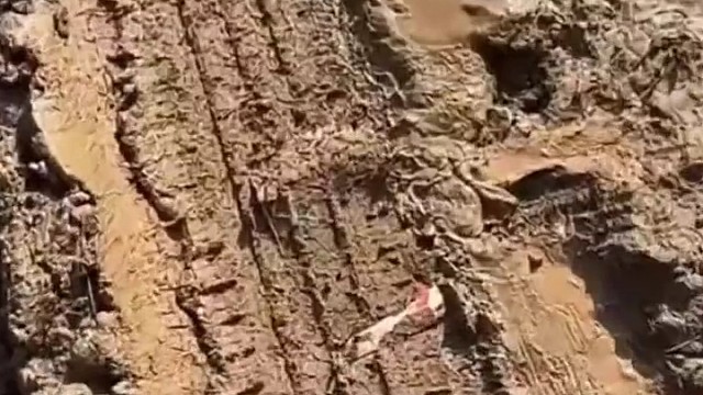 天天如此，就好了[呲牙]