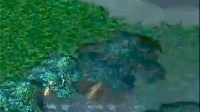 （三）大熊原声大碟，蓝胖四重施法点金手