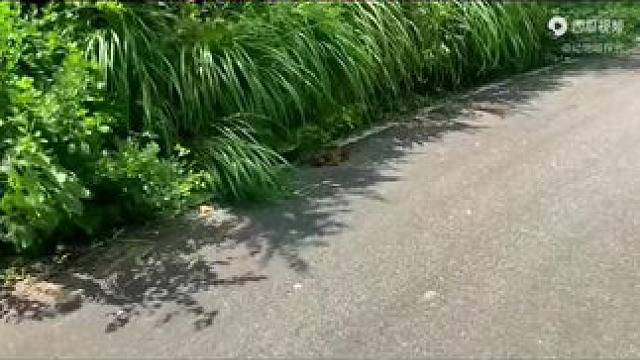 关注我每天分享不同的故事~