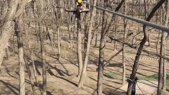 #亲子游玩好去处 #丛林探险 #探险 #郑州飞越丛林探险乐园