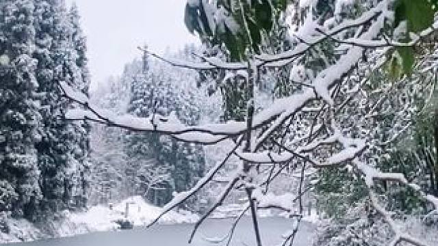 抓住冰雪的尾巴#春节反向旅行攻略 #春节出游攻略来了 #龙苍沟森林公园 #龙苍沟森林冰雪节 #春节我