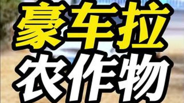 再大的老板回到村里还得帮父母拉货！