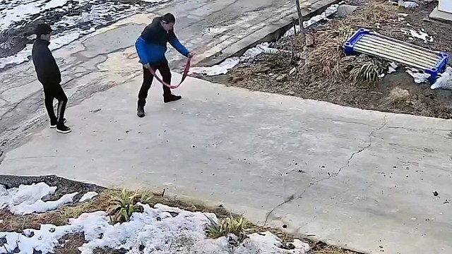 这狗是多恨鞭炮啊