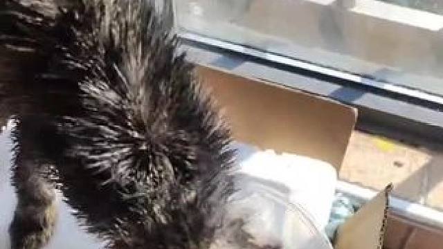 福大命大 对我而言很圆满的结局