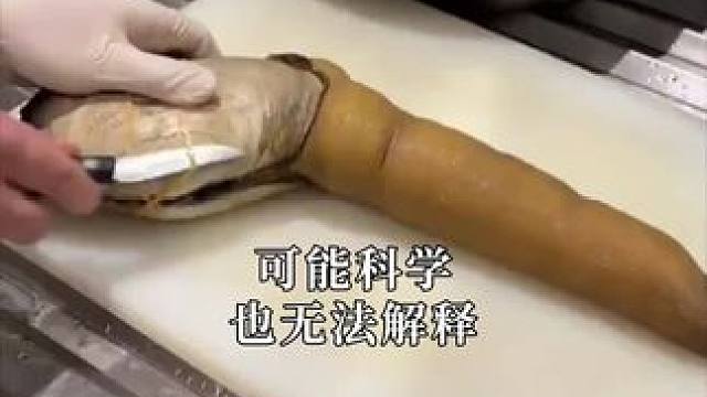 #百病食疗大全#健康养生#好书分享#中医传承