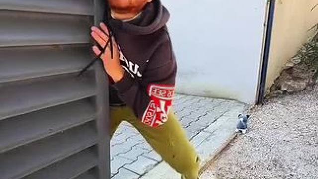 营救小动物太拼命了，结局让人万万没想到！#看一遍笑一遍 #这操作都看傻了 #老外真会玩 #老外迷惑行