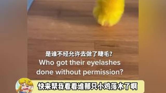 焯怎么那么难猜啊！谁快告诉我答案