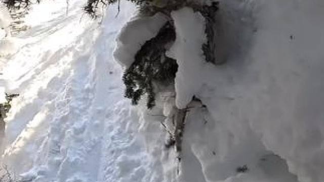 一起来滑雪吧#滑雪#冬天就是要滑雪