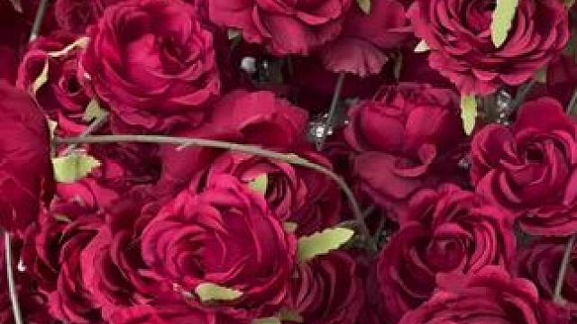 我发布了一个新视频，快来围观吧！