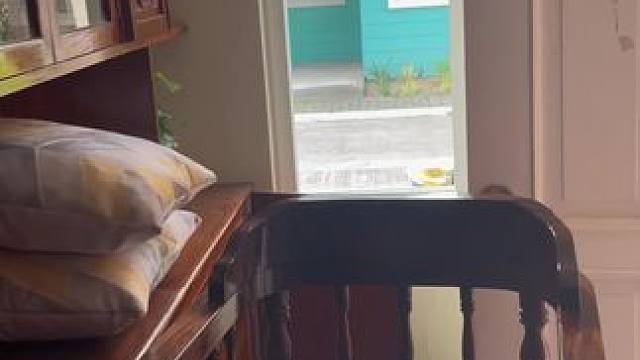 #露天泳池 #休闲度假 #菲律宾 #菲律宾旅游 菲律宾八打雁彩虹房，惬意的慢生活