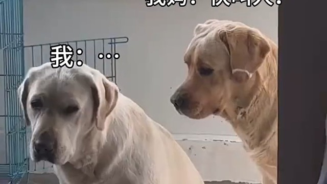 这孩儿上学上傻了  都不知道叫人了