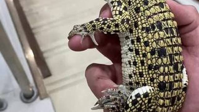 我发布了一个新视频，快来围观吧！