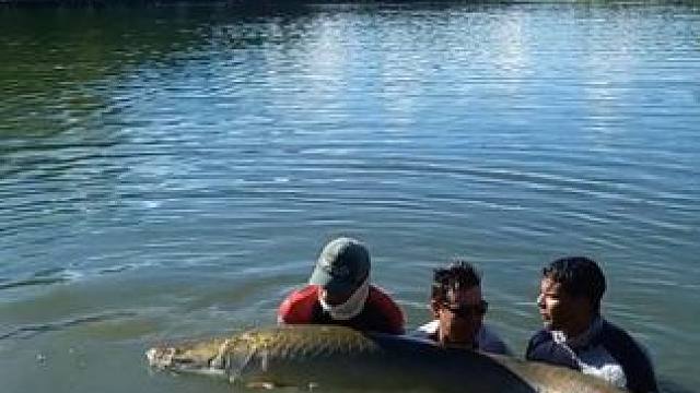 钓鱼的乐趣只有钓鱼人懂~