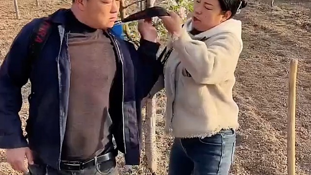 成事不足，败事有余