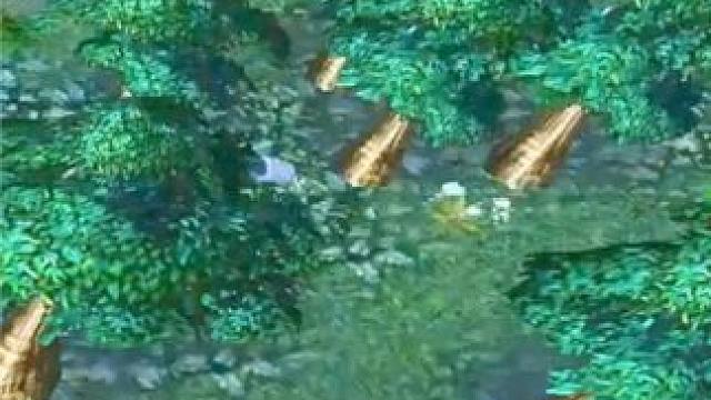 （三）大熊原声大碟，刀1活化石大熊幽鬼教学