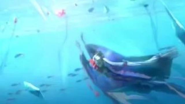 #阴阳师 #鲸汐千姬 当前版本SP式神培养建议