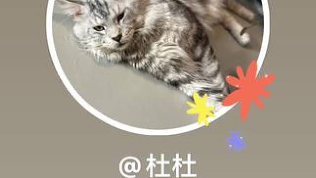 我发布了一个新视频，快来围观吧！