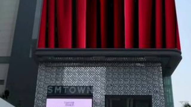 虎大明星#梦幻西游 #梦幻西游创梦计划 #梦幻西游电脑版