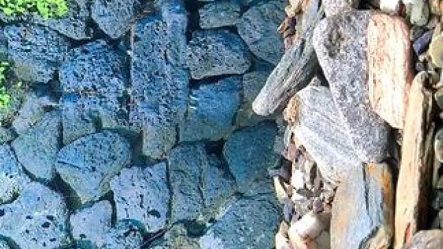 便宜好用的鱼缸灯沃韦朗全光谱，小型鱼缸的选择。#玻璃中的大自然 #养鱼养心 #水族器材 #感受大自然