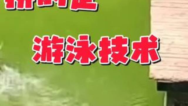 拼的是游泳技术，动物比我们还卷#游泳 #游泳技巧 #春节 #游泳教学 小助手