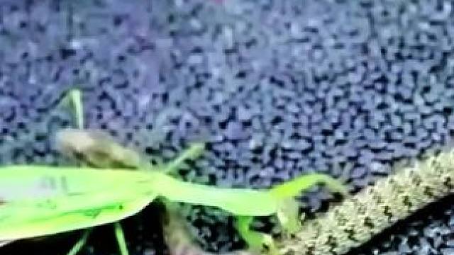 说好只玩5分钟，结果玩了2小时，根本停不下来！