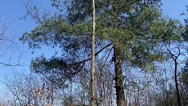 坐等看小子撑多久