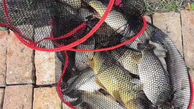 我发布了一个新视频，快来围观吧！