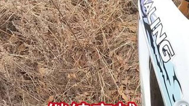 穿越第二集，慢慢看后面还有好几集