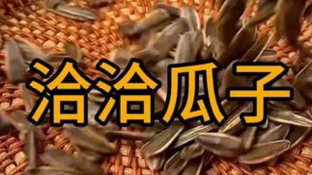 #零食推荐 #追剧小零食 #开袋即食 #过年吃什么 #洽洽瓜子