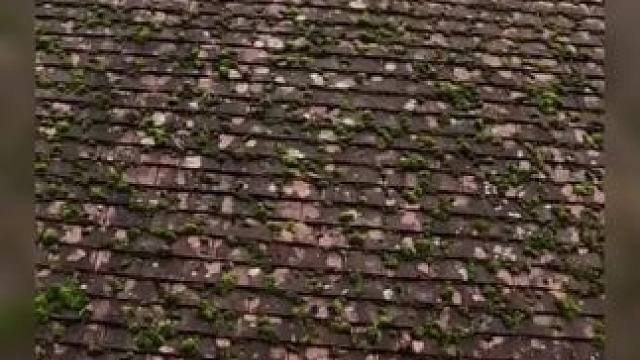 我发布了一个新视频，快来围观吧！