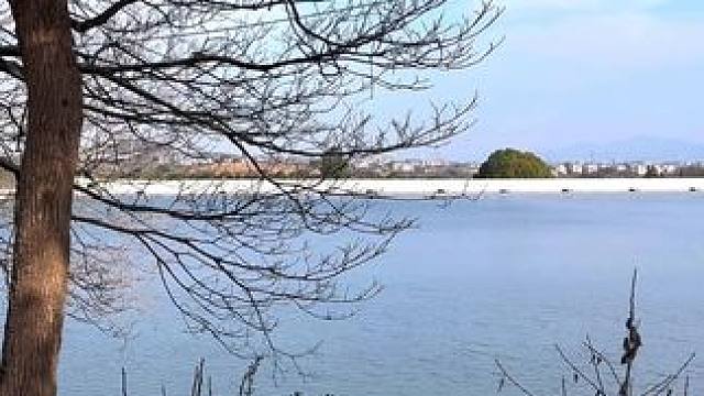 我发布了一个新视频，快来围观吧！