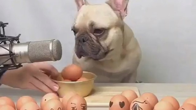 我发布了一个新视频，快来围观吧！