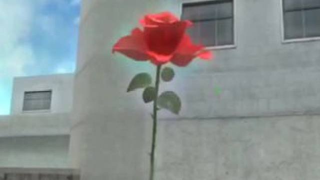 别人都送带刺的玫瑰，快看镜片却瞄到了一个情人节小丑#穿越火线手游 #cf手游 #cf手游龙映山海 #