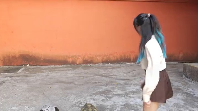虎友们，见者有份！