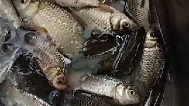 我发布了一个新视频，快来围观吧！