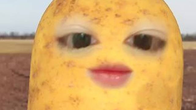 #土豆 听说这个小土豆很好玩，我也来试试