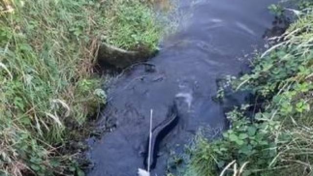 野生动物零距离~