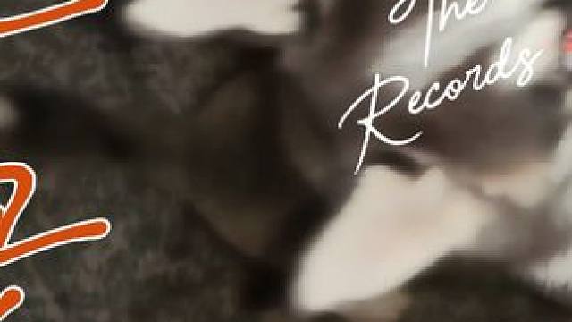 出去玩路上遇到一只狗狗#二货哈士奇 #阿呦阿呦 #流浪狗 #动物的迷惑行为 #童年回忆杀