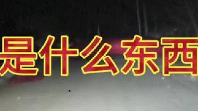 路上这是什么东西？#梦幻西游 #梦幻西游电脑版 #梦幻西游创梦计划