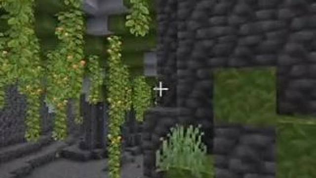 我发布了一个新视频，快来围观吧！