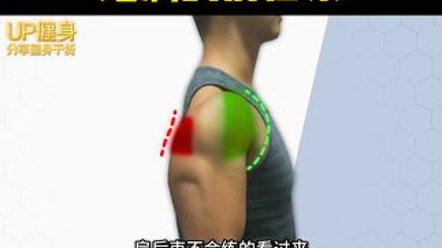 5个动作帮你打造饱满的肩后束 #健身 #健身教学 #增肌 #肩部训练 #练肩