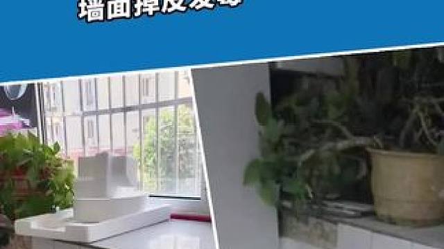 "解决老房墙面开裂掉皮问题！"宝力小区