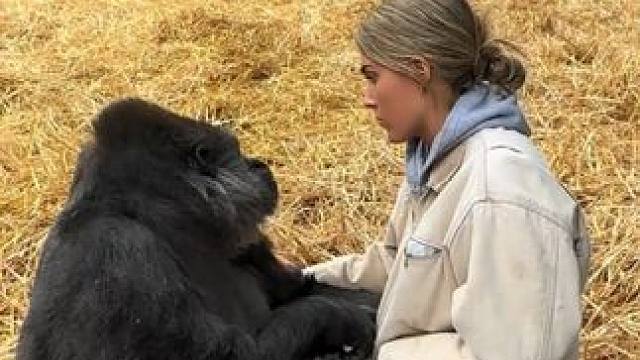 野生动物零距离~