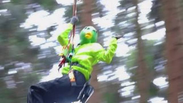 丛林探险家好玩爱玩#成都周边游 #龙苍沟森林公园 #龙苍沟山地运动公园 #丛林飞跃 #亲子户外活动