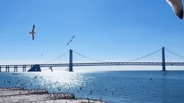 日月同辉寓意着好运，这是我的家乡辽宁省大连市，希望大家新的一年都能接到这份好运！也欢迎大家有机会来这