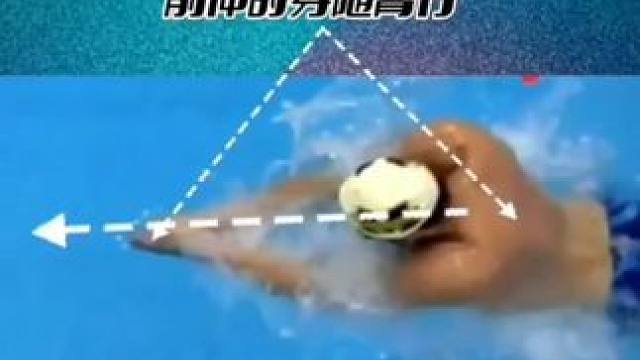 #游泳培训 #水下摄影 蛙泳手部动作分享 #教科书级别示范 #蛙泳 #蛙泳教学