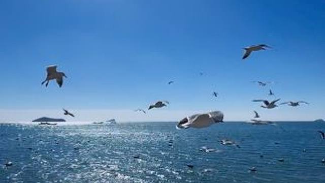 在吗？来我家乡这来看看？大海可是能治愈一切的哦！#假期日常