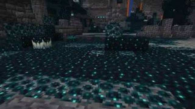 我发布了一个新视频，快来围观吧！